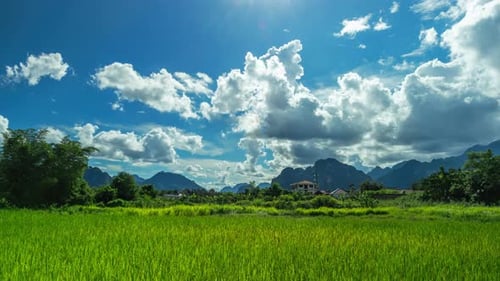 Green rice fields vibrant expanse foreground. Majestic mountains dominate background. Bright blue