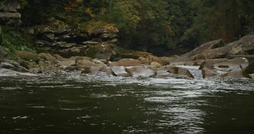 Rocky River Stream Flowing Through a Forest in Autumn Nature and Wilderness Concept for