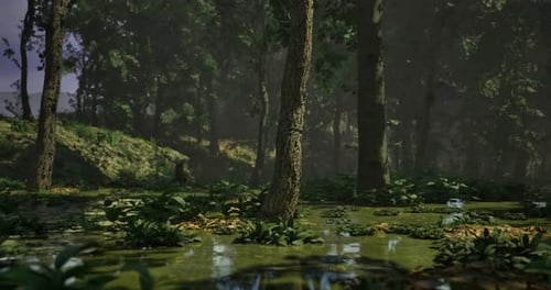Paysage de forêt brumeuse avec verdure et reflets d'eau dans la lumière du matin