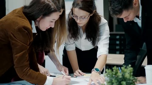 Team Working Together on a Project in Office