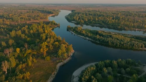 River Forest Sunset Dawn Sun Jungle Nature Lake Water Tree
