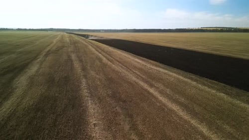 Tractors plowing the field in Ukraine