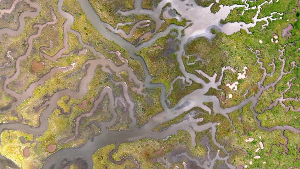 Aerial view of river marsh patterns, United Kingdom., Overhead Stock ...
