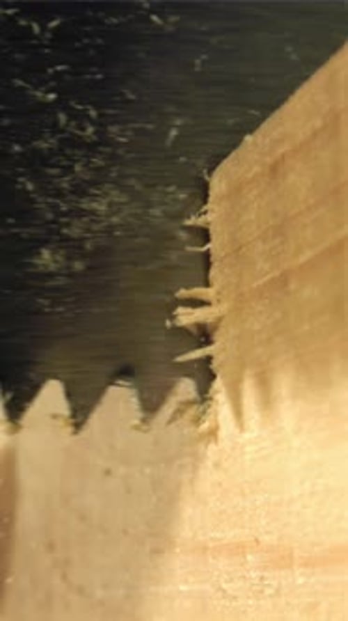 Sawing the Board Filmed on a Highspeed Camera at 1000 Fps