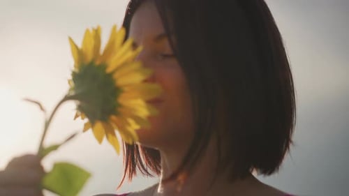 Calm Lady Appreciating Flower Aroma Peaceful Woman in Sunflower Field at Sunset Relaxed Female