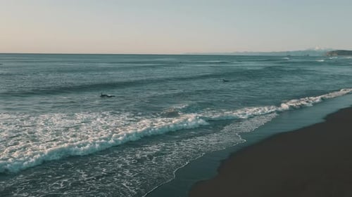 Many Surfers People Swim on Waves in Sea. Beautiful Ocean Wild Beach