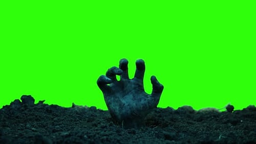 Zombie Hand Rises From Ground, Green Screen