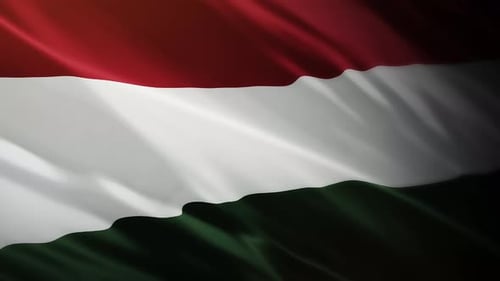 Realistic Waving Hungarian Flag Animated Loop