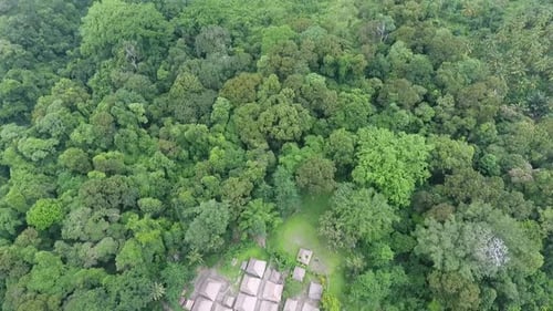Aerial beautiful forest view