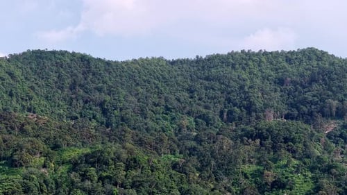 Lush green mountain with a cloudy sky