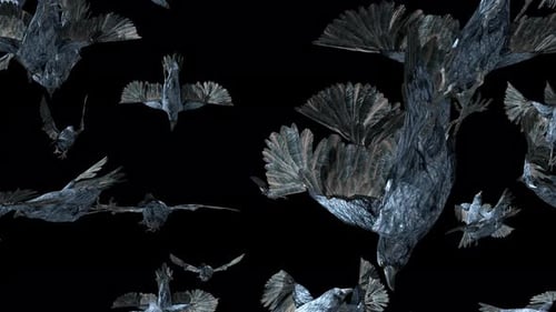 17 cuervos, pájaros, murciélagos volando, 4K