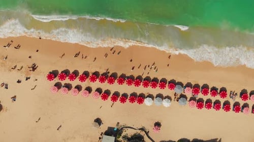 Top Aerial View on Sandy Ocean Shore with Resting Tourists and Beach Umbrellas Turquoise Water in