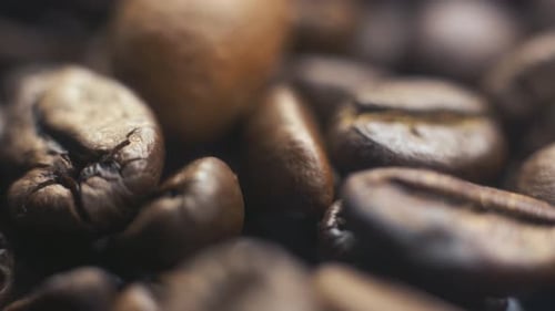 Roasted Coffee Beans Macro Close Up
