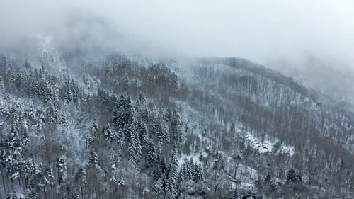 Misty aerial view of a snowy forested mountain landscape in serene winter weather
