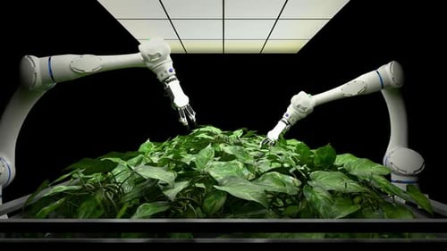 Robotic Arms Cultivating Plants in Modern Farm