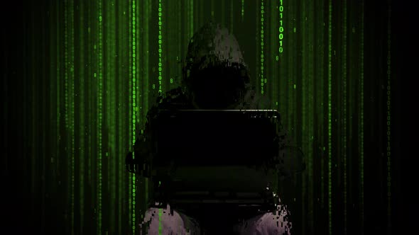 Hackers invade databases, steal information and launch network ...