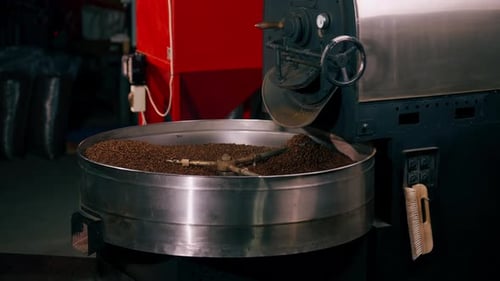 Closeup of a Coffee Roasting Factory Inside Drum Roasting Stirring Coffee