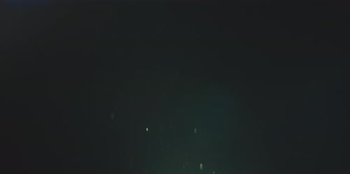 Dust Particles With Anamorphic Flare