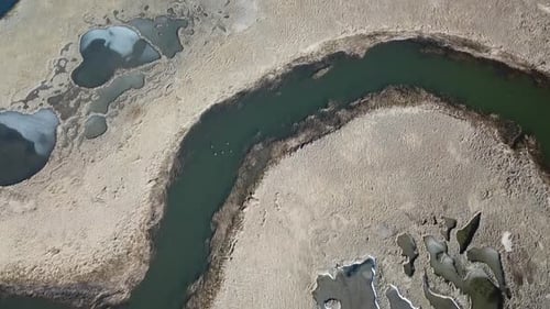 Vertical drone view of a tidal creek bend cutting through pale winter salt marsh