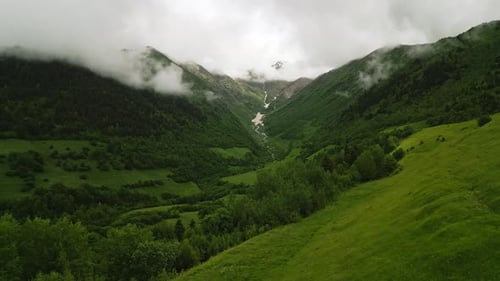 Alpine Meadow in Svaneti Mountains with Rich Plants Misty Mountains in Background Scene Shows