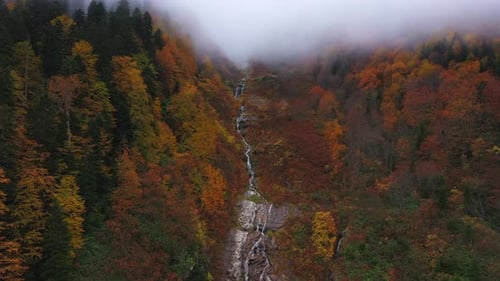 Autumn and Waterfall
