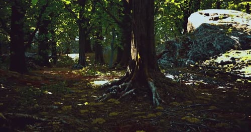 Vibrant Forest Landscape with Sunlight Streaming Through Tree Branches