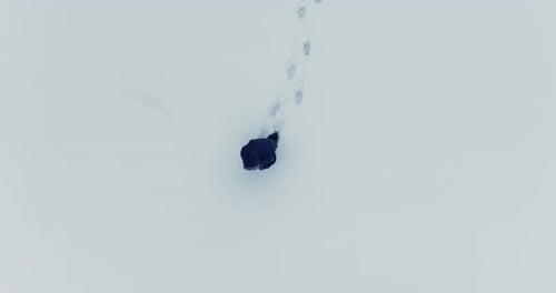 Person Walking Across Snow Covered Landscape Aerial