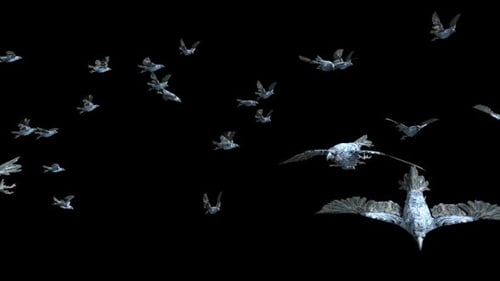 Animated Realistic Flock of Crows Flying Across Frame