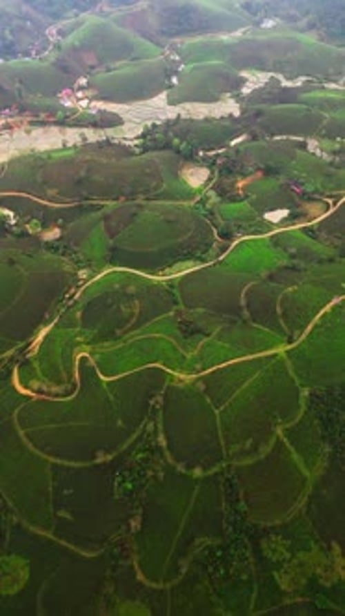 Vertical Aerial View of Tea Plantation Hills and Flooded Rice Paddies in Vietnam Morning Hues