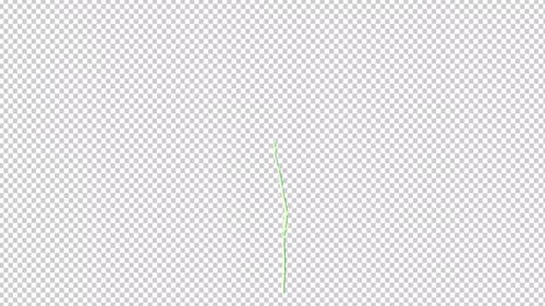 Dittander Flower Growing Transparent Background