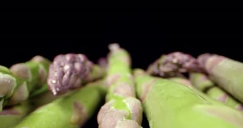 Frischer Spargel, grünes, hochwertiges, gesundes Gemüse, Super-Nahaufnahme, HQ-Shooting