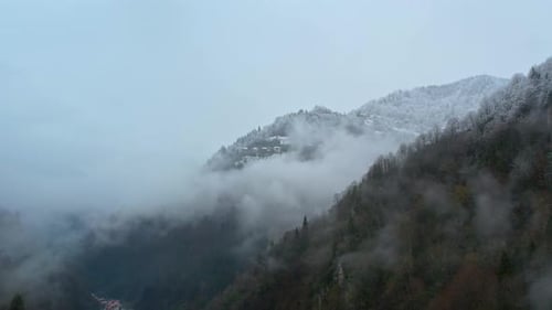 Misty Snow Covered Mountain Valley and Forest in Winter