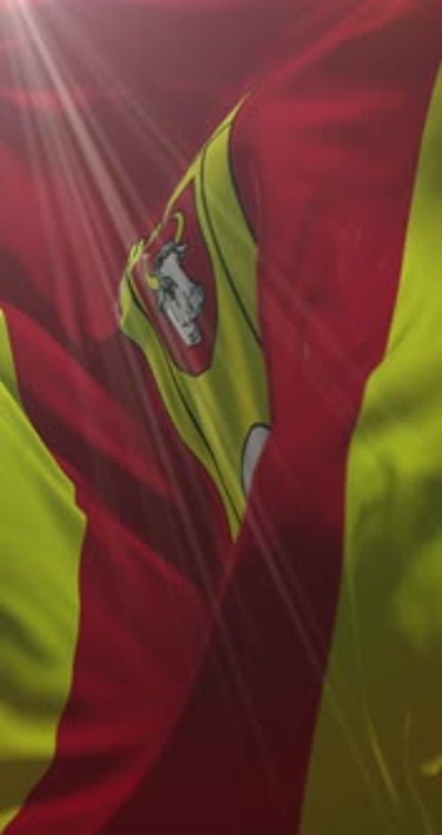 Vertical Waving Red and Yellow Flag with Emblem and Sunflare