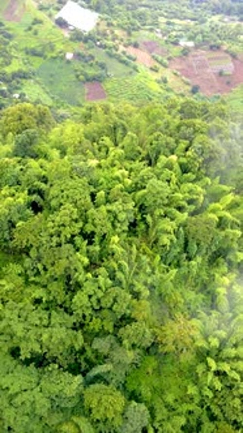 Samoeng Forest Park Views of the Forest and Mountains Mae Sa Valley Loop Chiang Mai Thailand