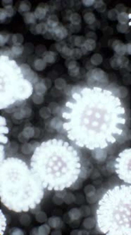 Viruses Under the Microscopic View for Education