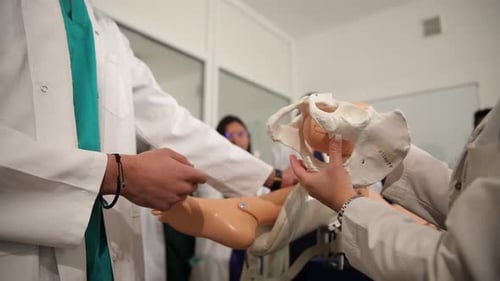 Medical Students Reviewing Anatomy Model in Classroom