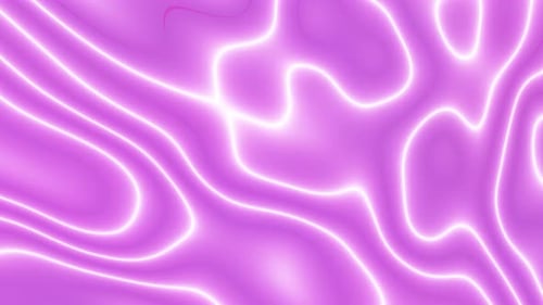 Abstract Fluid Pink Neon Flowing Lines Background Loop