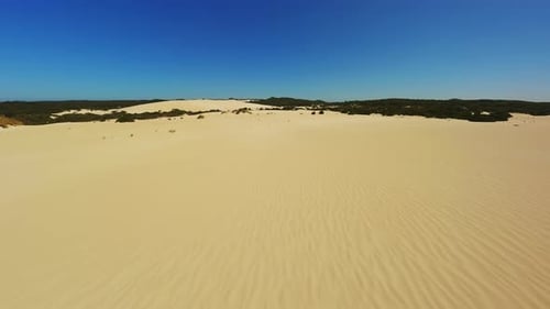 Desert with Shrubs on a Sunny Day