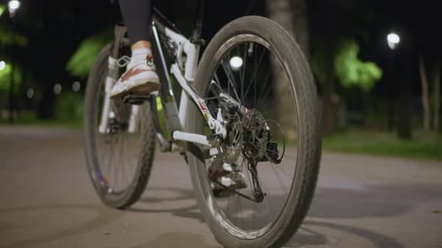 Rear Wheel Spinning Fast On Illuminated Park Path Dirt And Tire Tread Visible Momentum And Traction