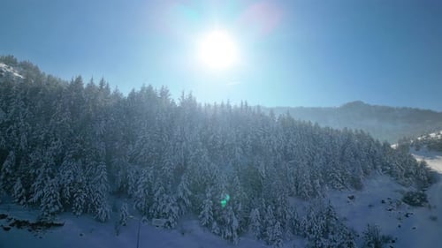 Aerial View of Snowy Forest Landscape in Winter