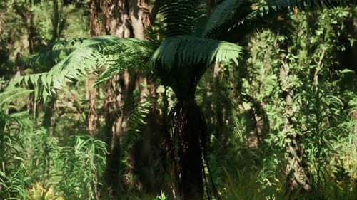 Lush Green Ferns Thriving in the Vibrant Jungle of Southern China