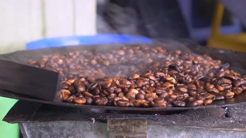 Bunna seller is roasting the Coffee beans in her small traditional shop, in Addis Ababa in Ethiopia