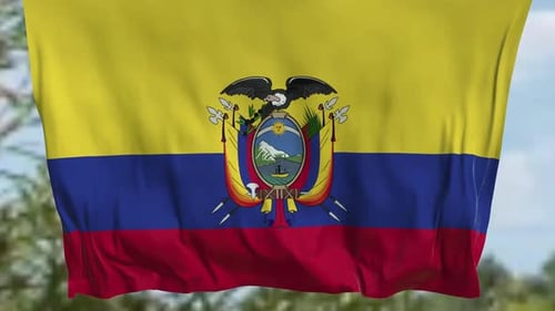 Realistic 3D Animated Flag of Ecuador Waving in the Wind