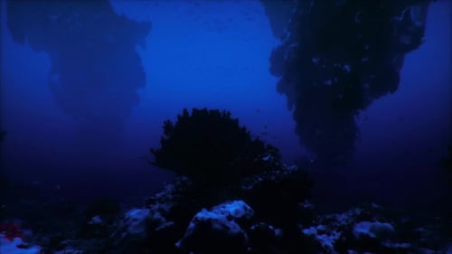 Exploring the Depths of the Ocean Beneath a Dark Underwater World