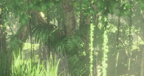 Lush Greenery Envelops the Sunlit Forest Inviting Exploration and Wonder