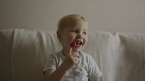 Cute Child Eating Raspberry Fruit At Home