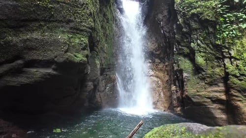 Lush Waterfall Flows into Tropical Pool