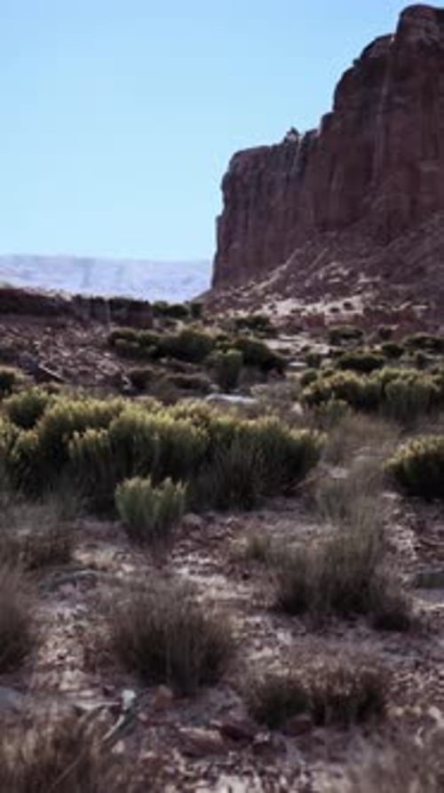 Mountain Towering Over Nevada Desert