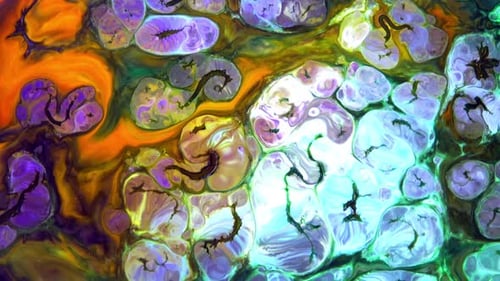 Abstract Colorful Ink Movements Spreads On Water Texture 123