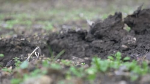HOE REMOVING SOIL IN SLOW MOTION